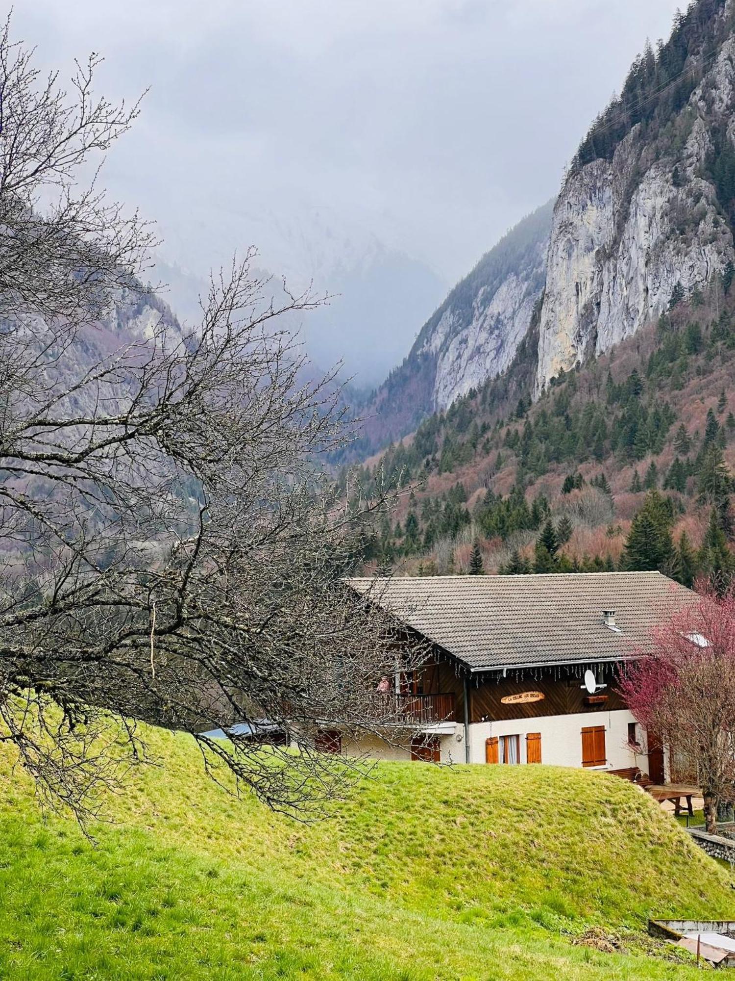 Chalet Du Bonheur Villa Bonnevaux  Exteriör bild